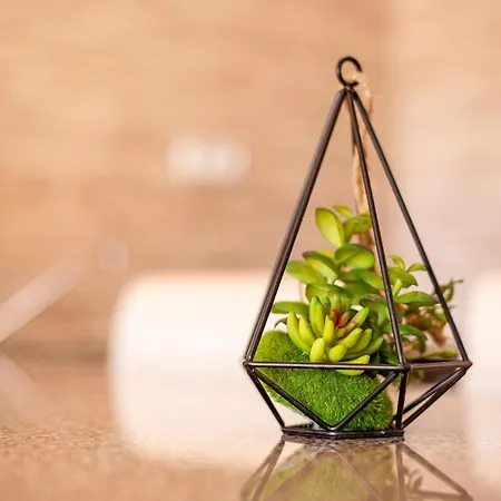 Apartament Dayely Corralejo