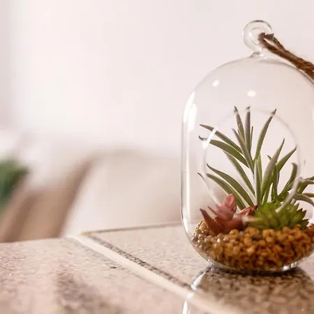 Dayely Apartament Corralejo