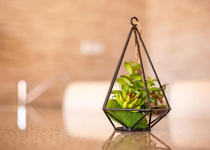 דירה Dayely קורלחו