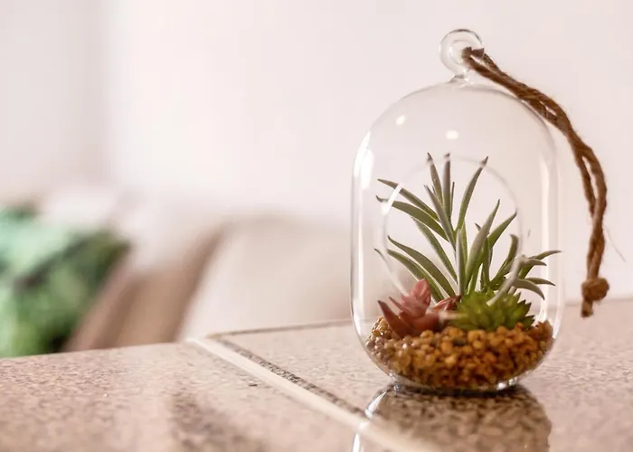 Dayely Апартаменты Коральео